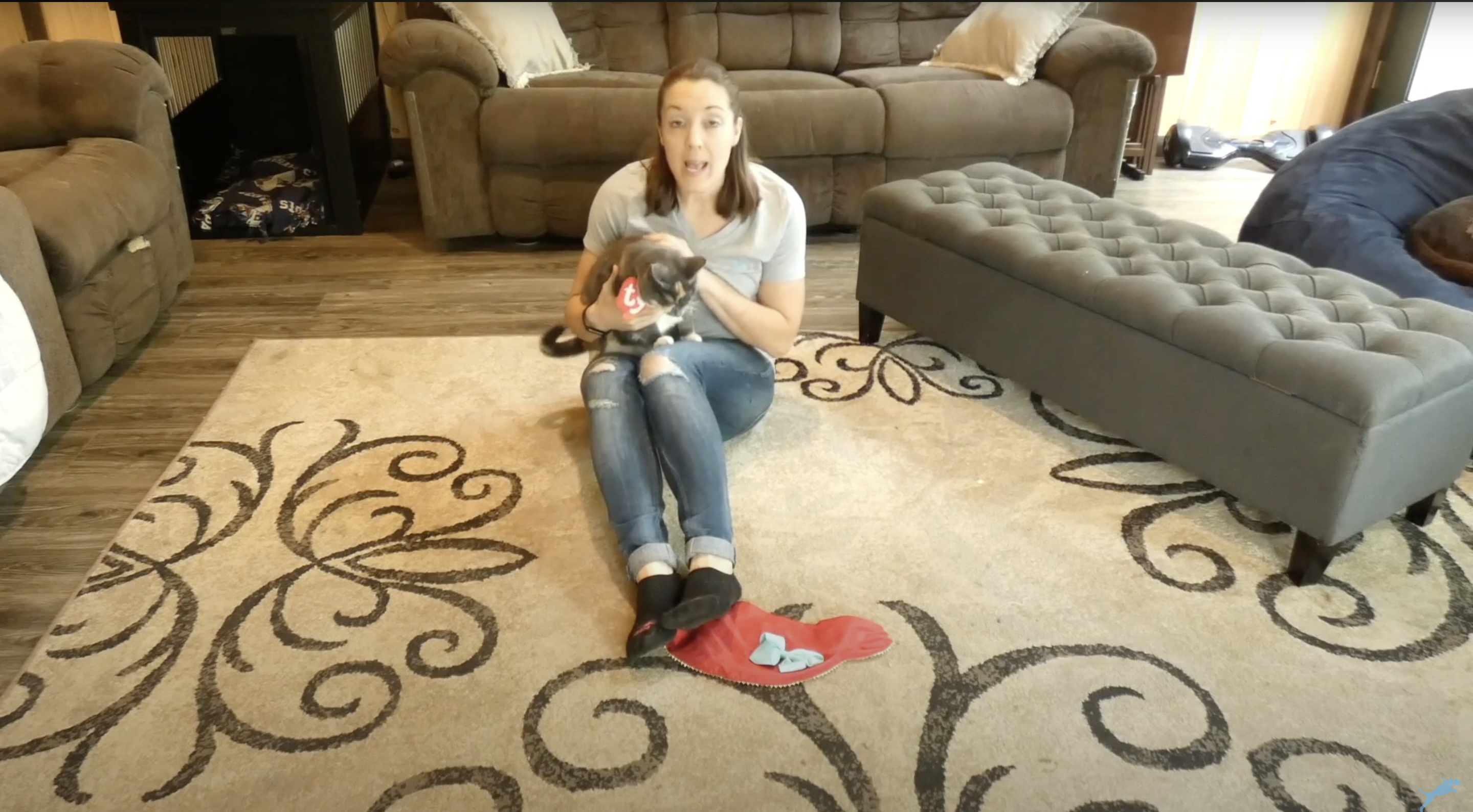 TY Beanie Baby Homemade Halloween Costume for Cats